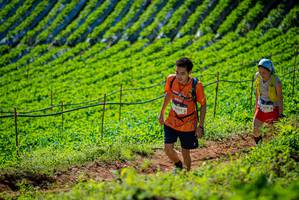 BIB: 
                            <button type="button" onclick="openModal(19162169)" class="btn btn-primary btn-sm float-right btn-popup" data-toggle="modal" data-target=".modal-high-quality">
                        <i class="fas fa-shopping-cart"></i> Add to Cart
                    </button>
                                            <button type="button" onclick="isThisMe(19162169, true)" class="btn btn-success btn-sm float-right btn-popup btn-isme hidden" data-toggle="tooltip" data-placement="bottom" title="นี่คือรูปของคุณใช่ไหม คลิกที่นี่เพื่อเอาเข้าอัลบั้ม">
                        <i class="fas fa-plus"></i> Add to album
                    </button>
                    <button type="button" onclick="isThisMe(19162169, false)" class="btn btn-warning btn-sm float-right btn-popup btn-isnotme hidden">
                        <i class="fas fa-ban"></i> Remove from album
                    </button>